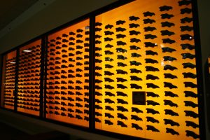 Skulls Of Dire Wolves On Display At Page Museum