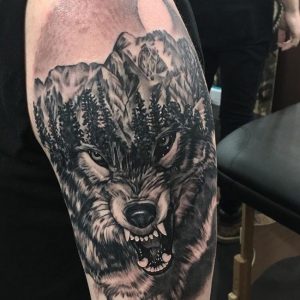 Snarling Mountain Wolf