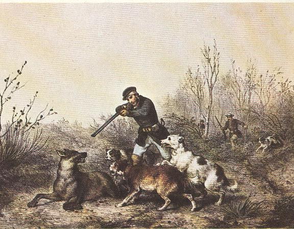 Wolves And Livestock Conflict: Some Humane Solutions To This Problem