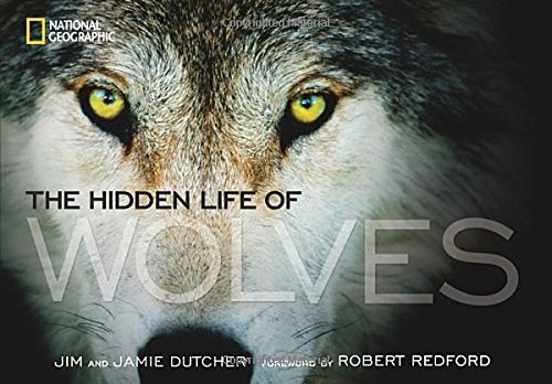 Gifts for wolf lovers: the hidden life of wolves