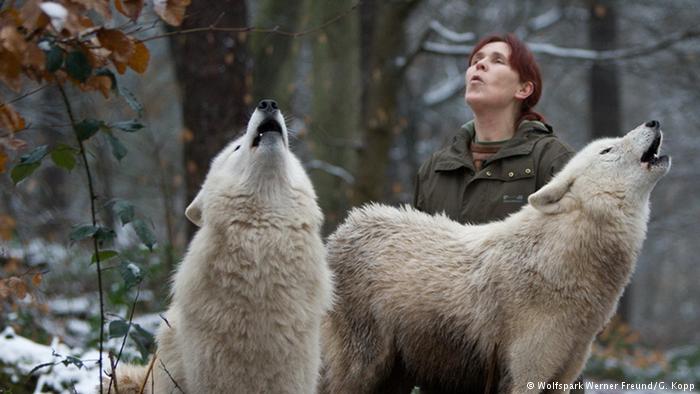 Tatjana Schneider Howling With Wolves: Women Managing German Wolves