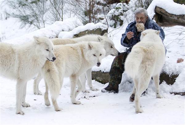 The Life And Times Of Werner Freund: The Wolfman